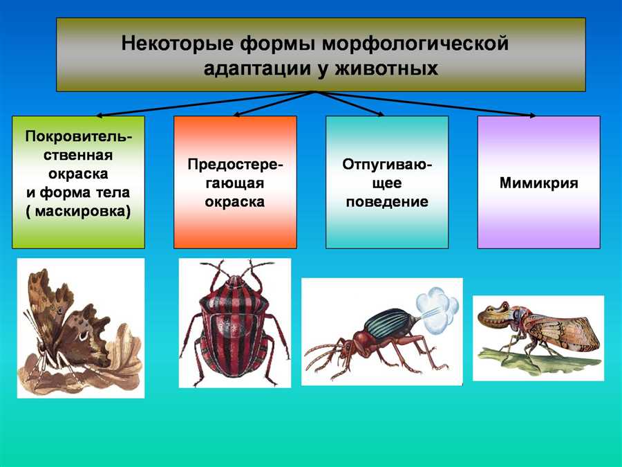 Адаптация организмов к условиям обитания — эволюционный отбор формирует уникальные способности выживания