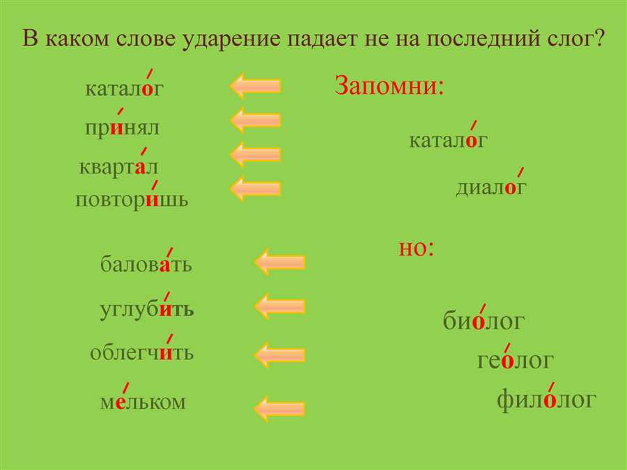 Картография с акцентом на мастерство