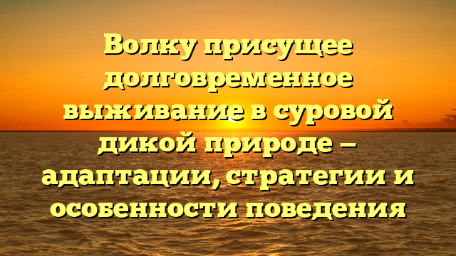 Волку присущее долговременное выживание в суровой дикой природе — адаптации, стратегии и особенности поведения