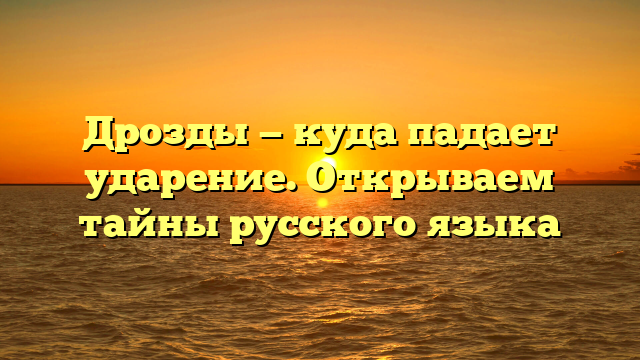 Дрозды — куда падает ударение. Открываем тайны русского языка