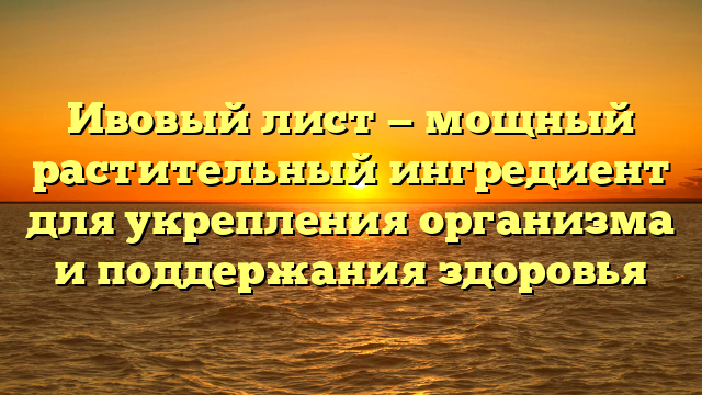 Ивовый лист — мощный растительный ингредиент для укрепления организма и поддержания здоровья