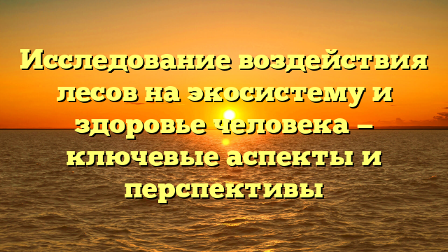 Исследование воздействия лесов на экосистему и здоровье человека — ключевые аспекты и перспективы