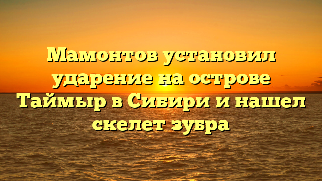 Мамонтов установил ударение на острове Таймыр в Сибири и нашел скелет зубра