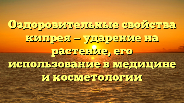 Оздоровительные свойства кипрея — ударение на растение, его использование в медицине и косметологии