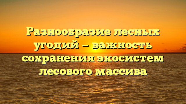 Разнообразие лесных угодий — важность сохранения экосистем лесового массива