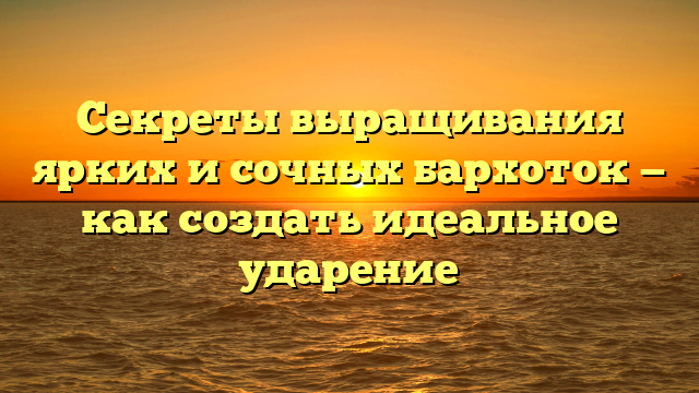 Секреты выращивания ярких и сочных бархоток — как создать идеальное ударение